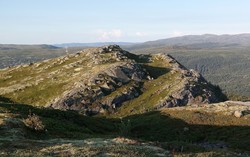 Skriunatten