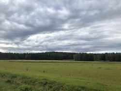 Särämäki