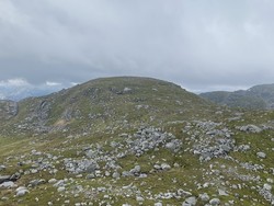 Kuhaugen