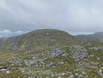 Kuhaugen
