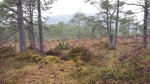 Heggenesfjellet