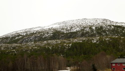 Frengsheia