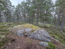 Ormåsen Lysløype Nord