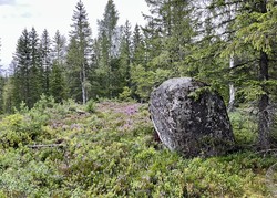 Løkeberget