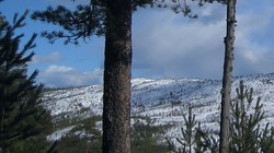 Tysjøfjellet Nord