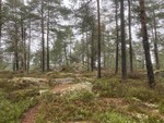 Bråtenåsen