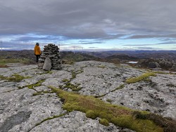 Aust for Kaknuten
