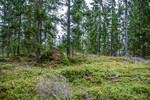 Vindfallåsen