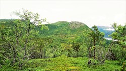 Lossviktinden
