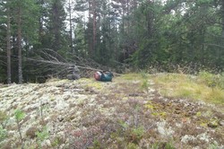 Stillingsåsen