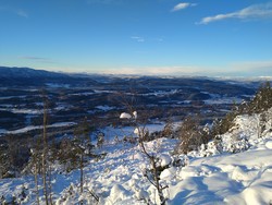 Bukkeberga
