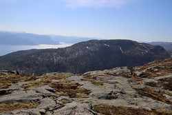 Høgelia