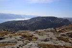 Høgelia