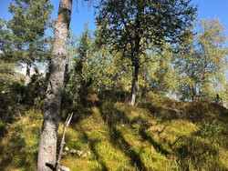 Rishuet Nordvest