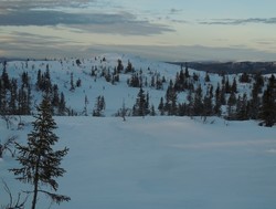 Knappane trig.punkt