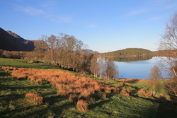 Fløhammaren