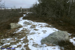 Stalsberghøgda