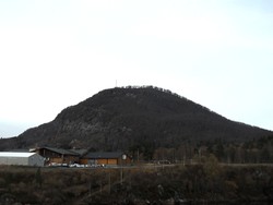 Jarekollen