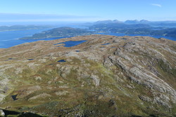 Skorvå
