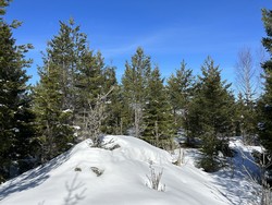 Hauglifjellet