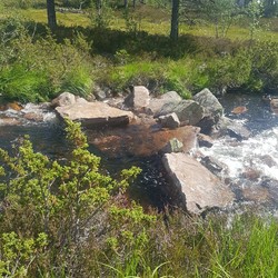 Krysning Kilsåi