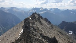 Skjervan sør