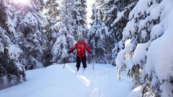 Finntjernhaugen