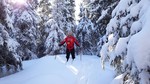 Finntjernhaugen