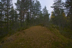 Bremsrudåsen