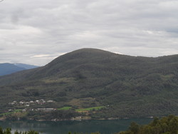 Tordisnuten