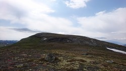 Haraldshaugane