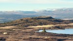 Buhovdnatten