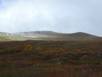 Korpfjellet, Gaarenestjahke