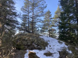 Torgunrudåsen