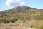 Hovde