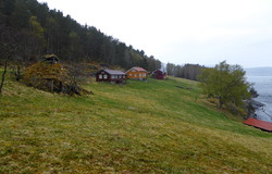 Helgestø