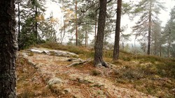 Lommetjernåsen