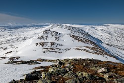 Tilhengaren