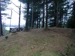 Kolhushaugen