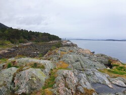 Geitapina
