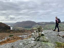 Høgenuten