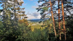 Damåsen