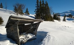 Smørlii gapahuk
