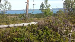 Gangåsen