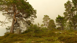 Litlgavllangen