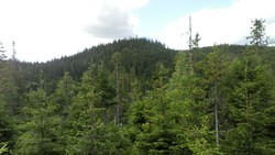 Rundhaug