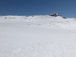 Gråhyrneran