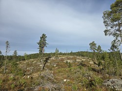 Øst for Bergseterbekken