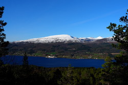 Langåsen