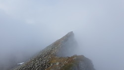 Høghornet N3